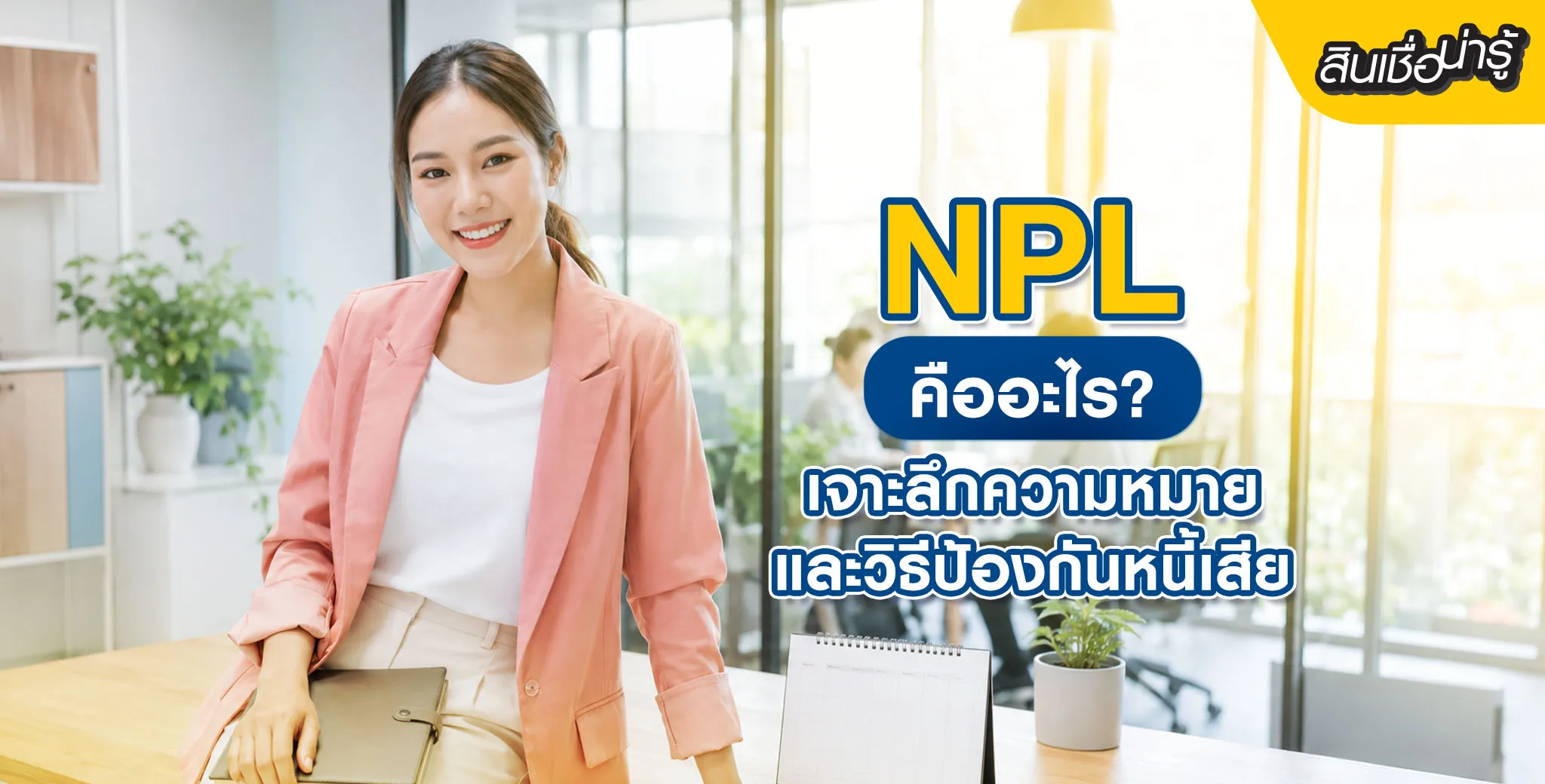 NPL คืออะไร