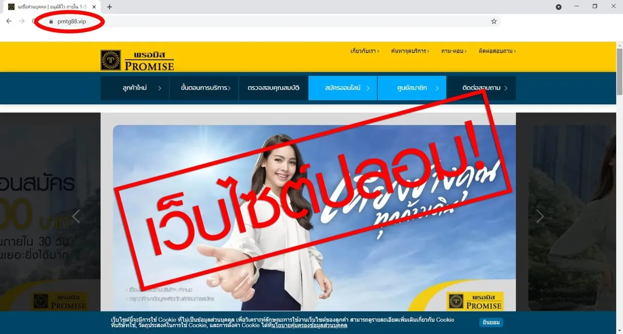 ตัวอย่างเว็บไซต์ปลอม