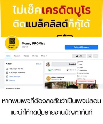 ตัวอย่างเพจปลอม