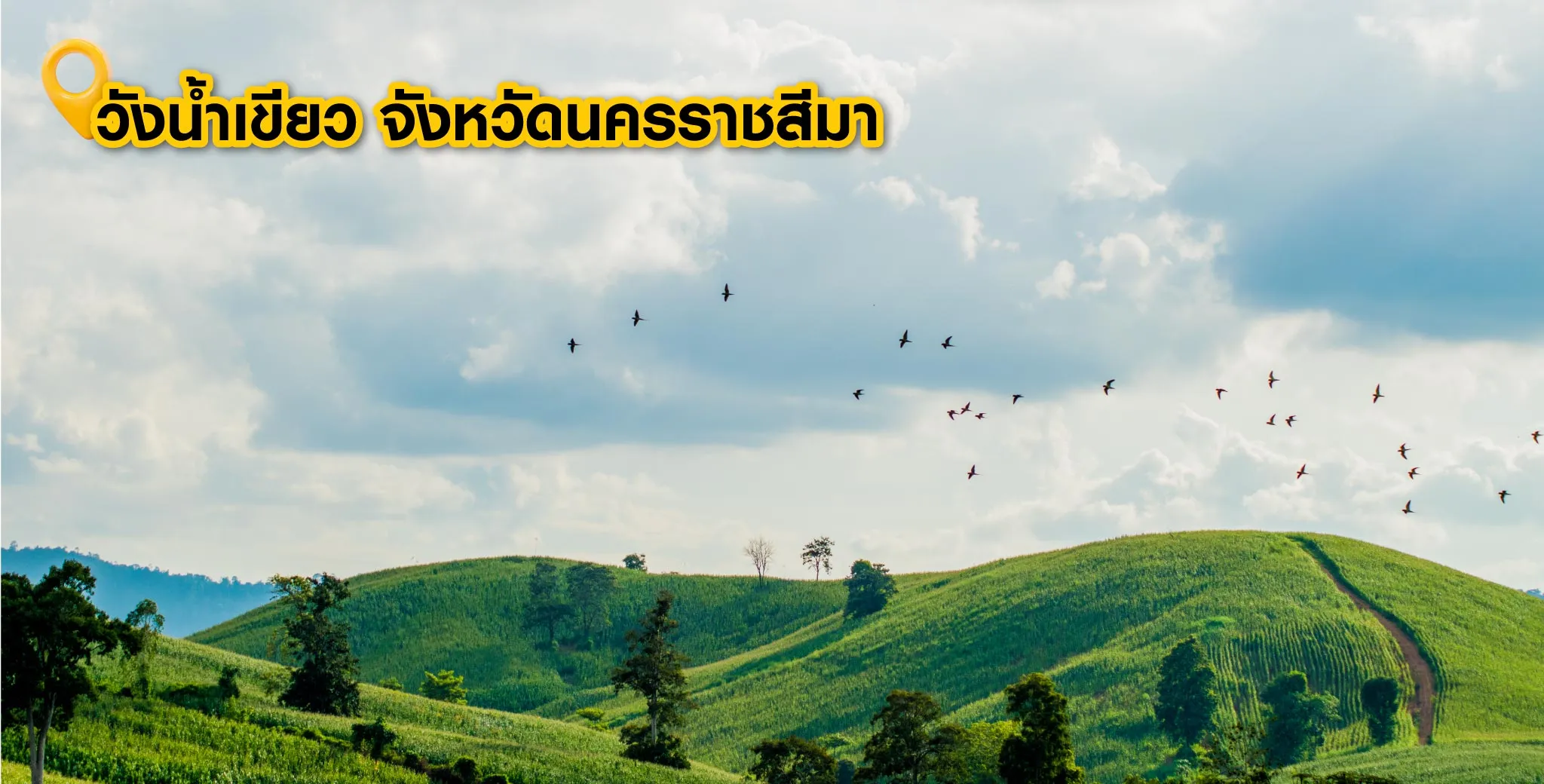 วังน้ำเขียว จังหวัดนครราชสีมา