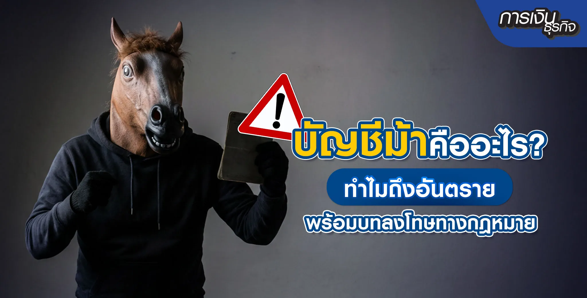 บัญชีม้าคืออะไร