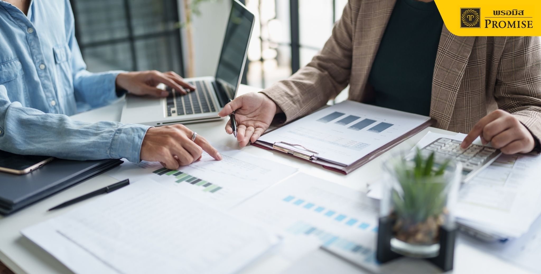 กำหนดยื่นภาษี