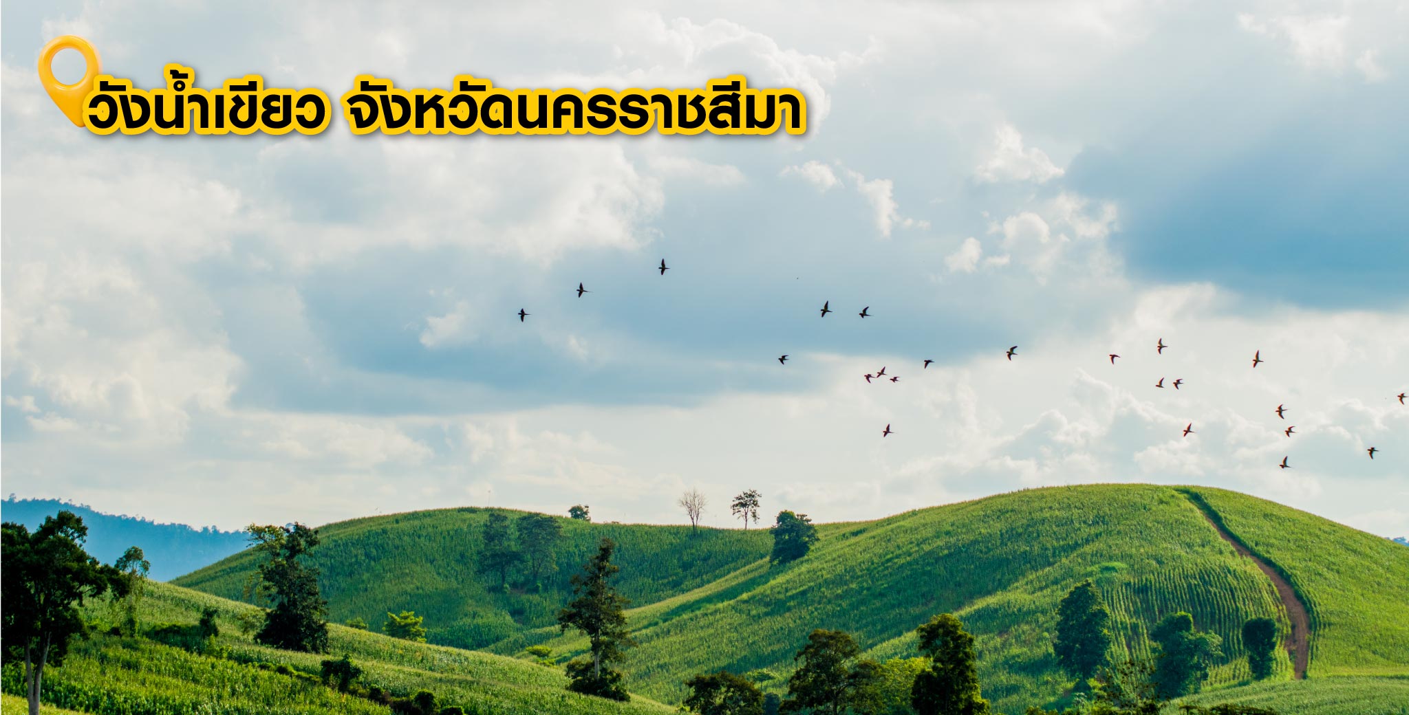 วังน้ำเขียว จังหวัดนครราชสีมา